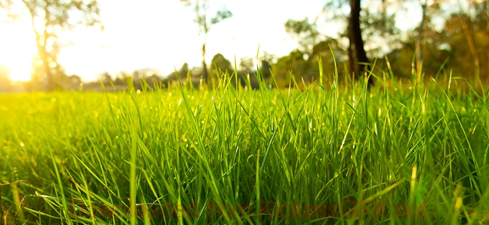 免费短信轰炸机